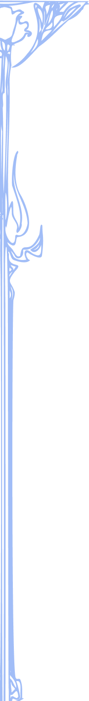 border left